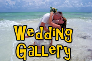 Beach Wedding Gallery